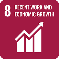 SDG 8
